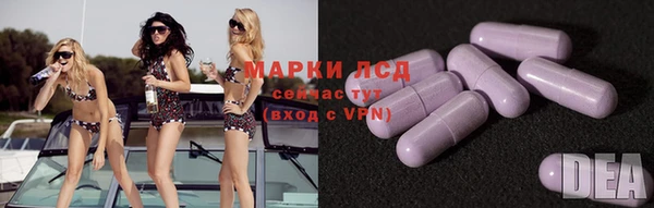 мяу мяу мука Алзамай