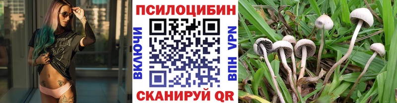Псилоцибиновые грибы прущие грибы  Полысаево 